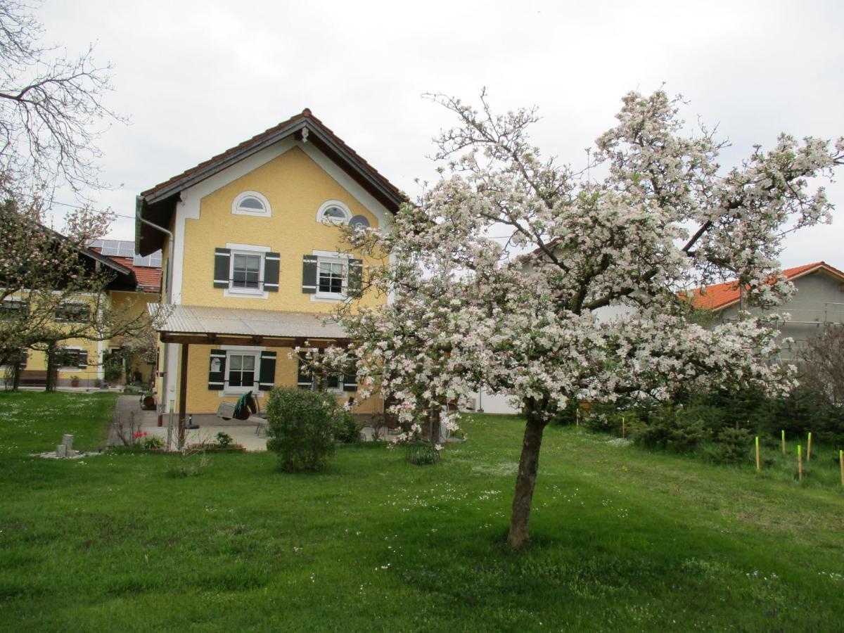 Ferienhaus Mühlfeldner Villa Laufen Exterior foto